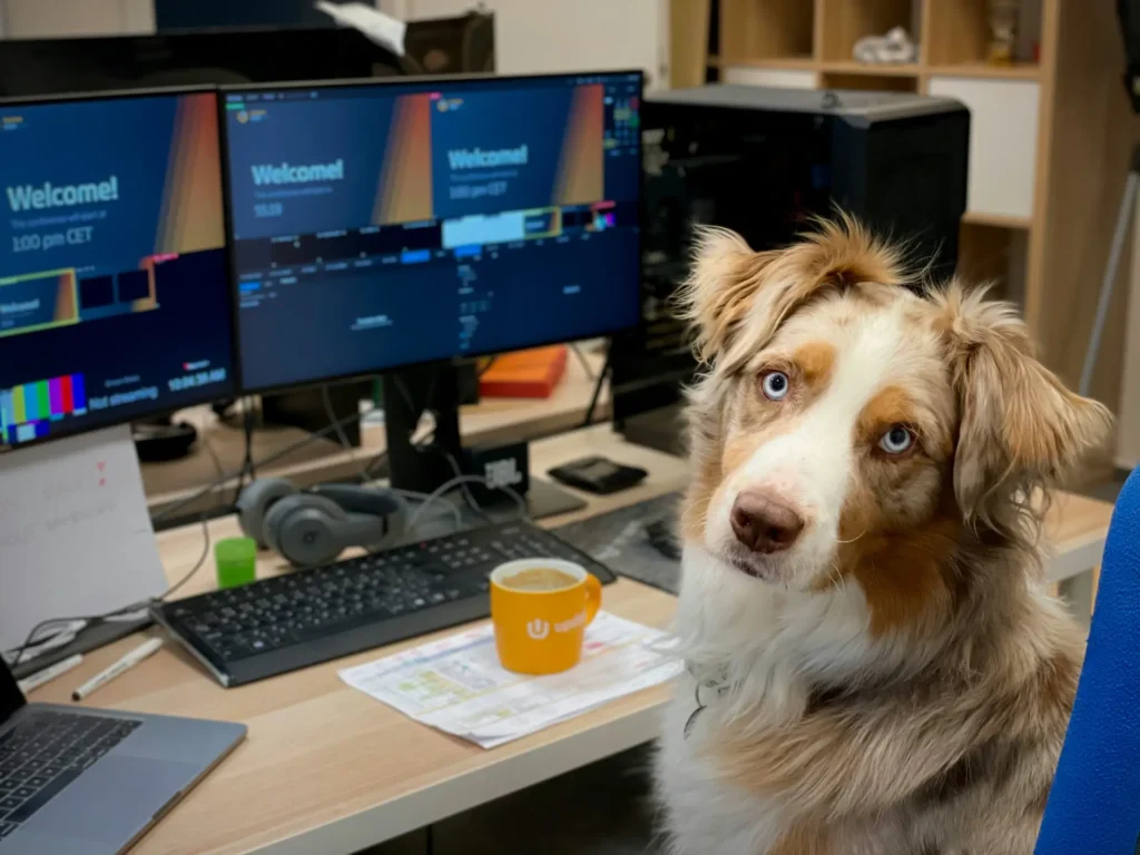 Perro trabajando, perro educado