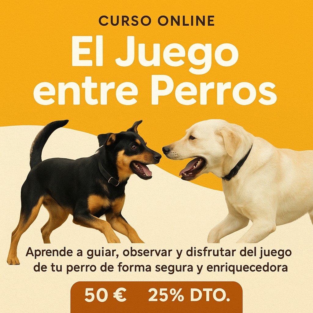 El Juego entre Perros