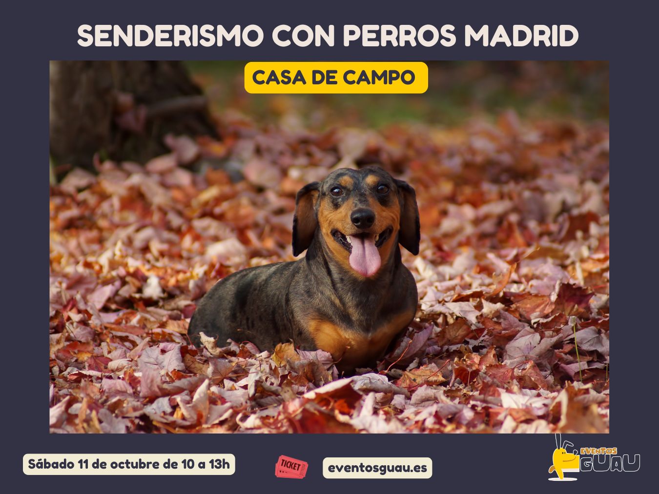 Teckel Casa de campo