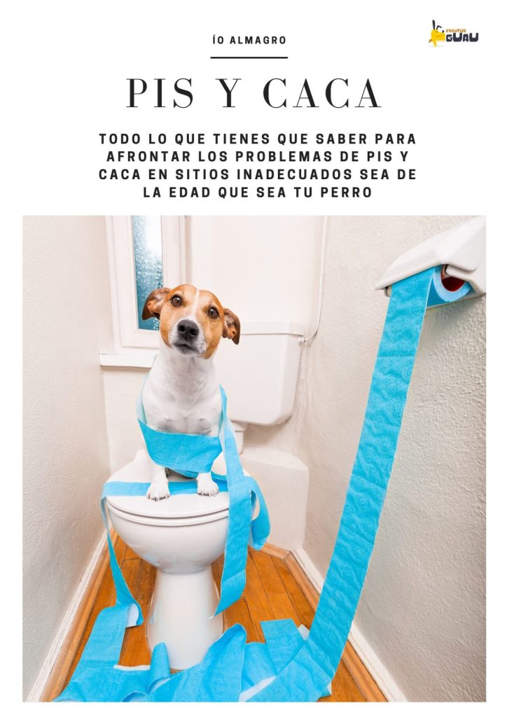 Pis y Caca: guía definitiva para que tu perro haga sus necesidades donde debe