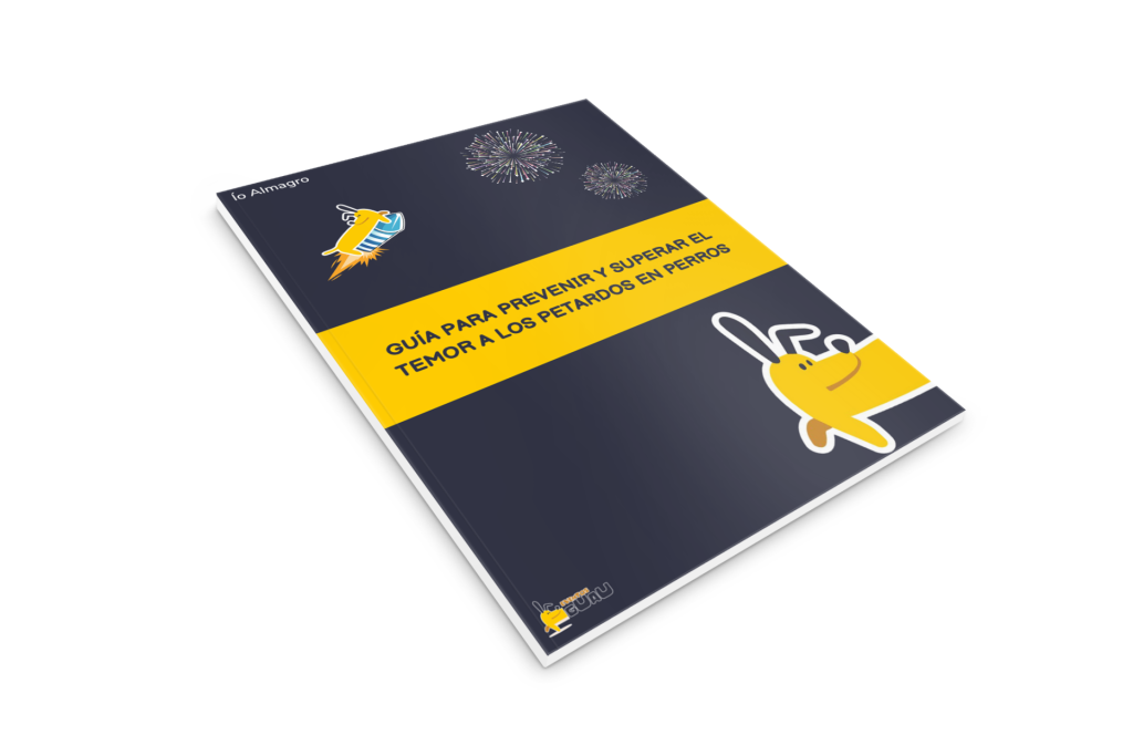 Perros y petardos: cómo prevenir y superar el miedo a los ruidos fuertes