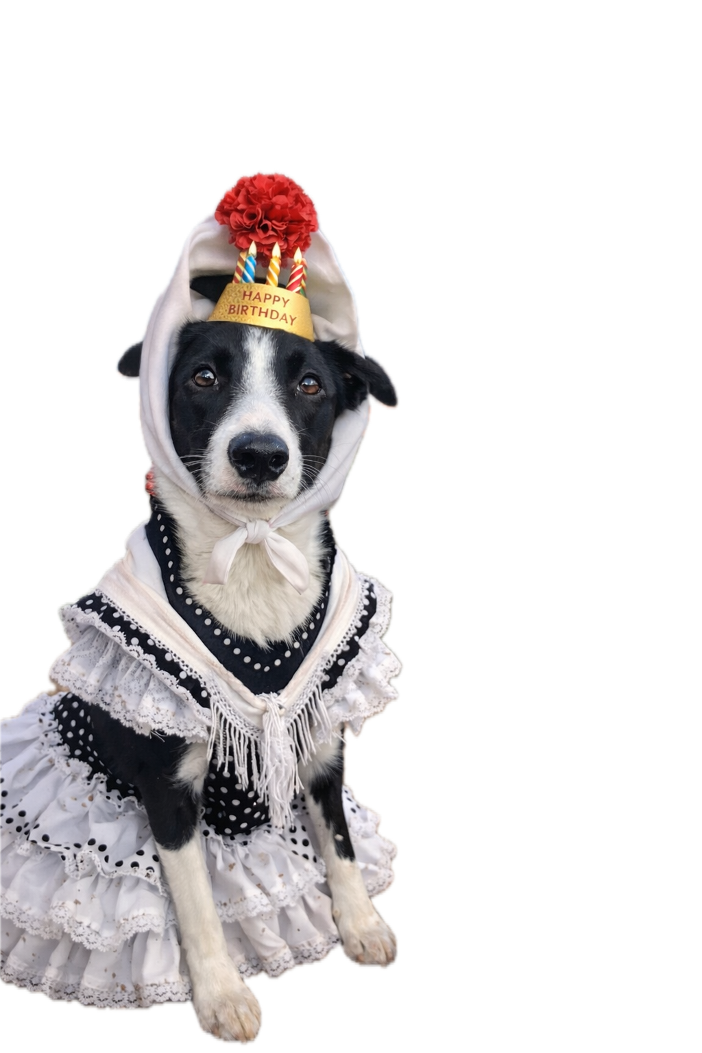 Lía vestida de chulapa