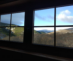 Grupo con perros en un entorno amable y natural