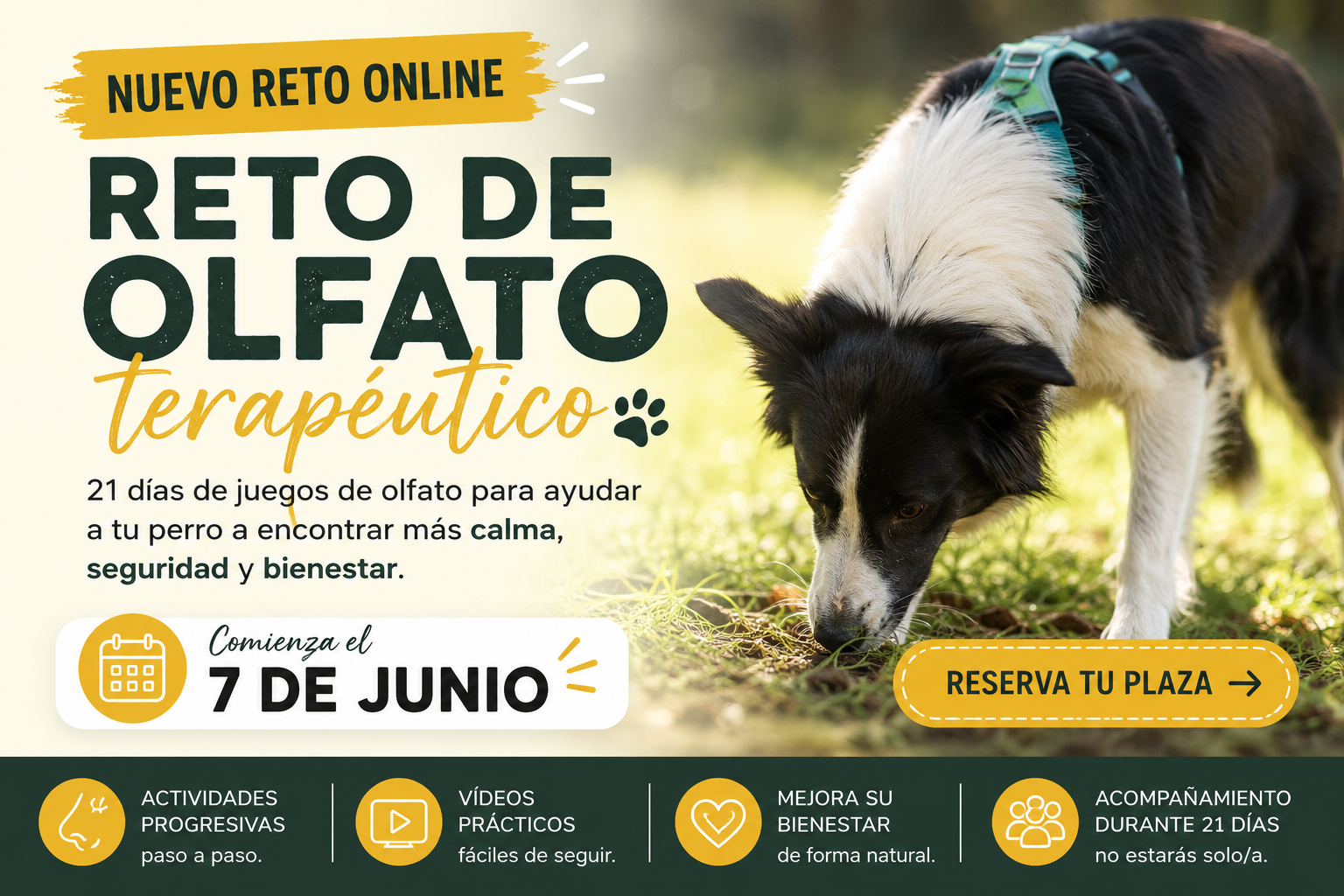 Perro olfateando durante el Reto de Olfato Terapéutico