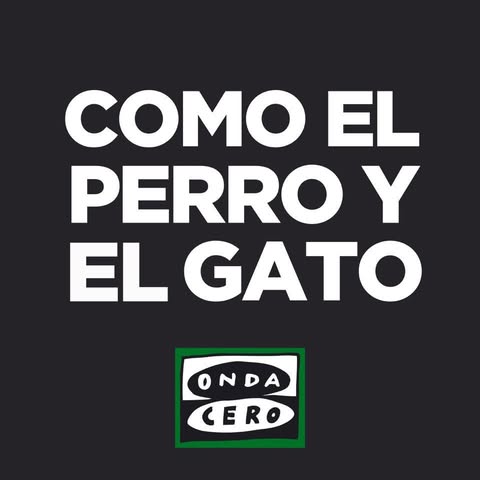 Como el perro y el gato